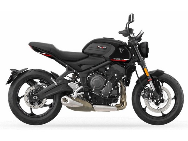 Libro Azul TRIUMPH TRIDENT 660 2025