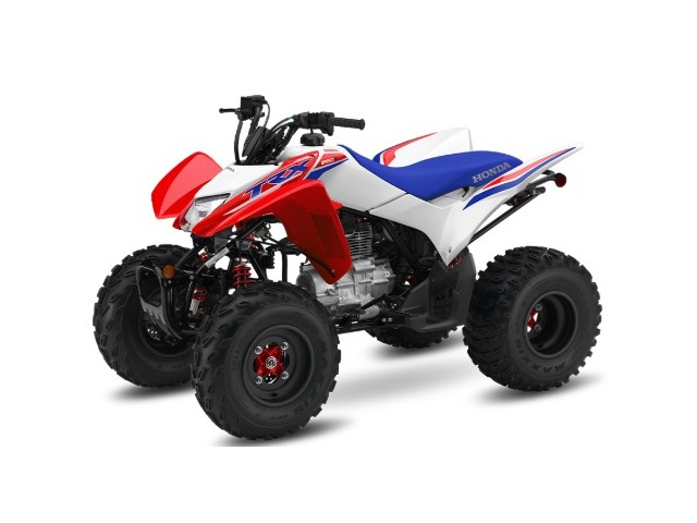 Libro Azul HONDA TRX250X 2025
