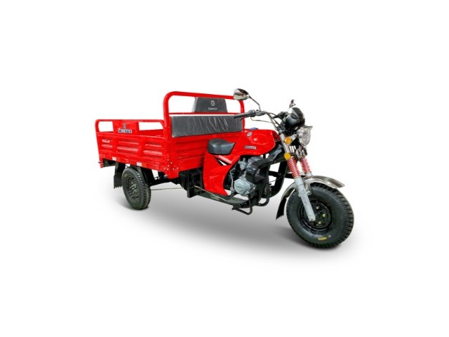 Libro Azul ZMOTO ZMAX 200 PLUS 2025